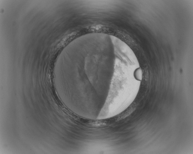 X0000064770754200603131433