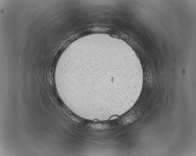 X0000064770755200603131433