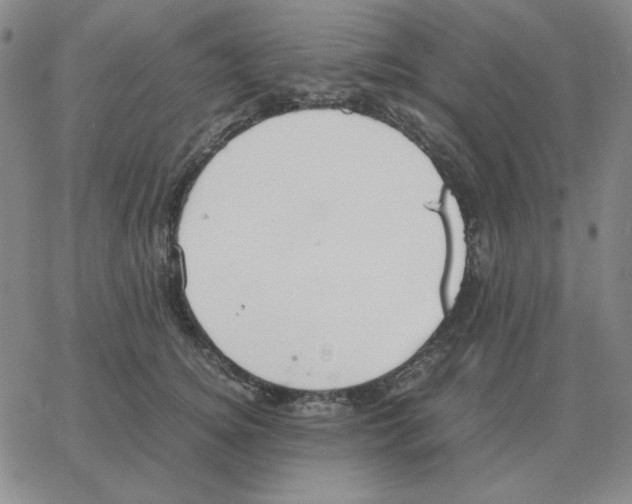 X0000064770756200603131433