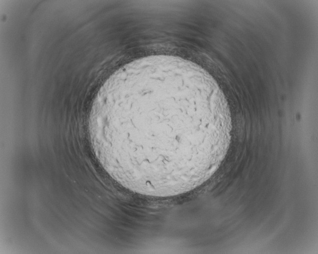 X0000064770757200603131433