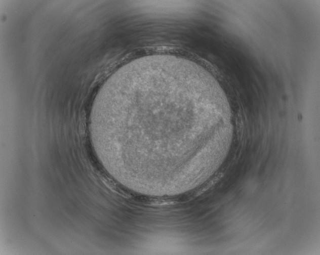 X0000064770760200603131433