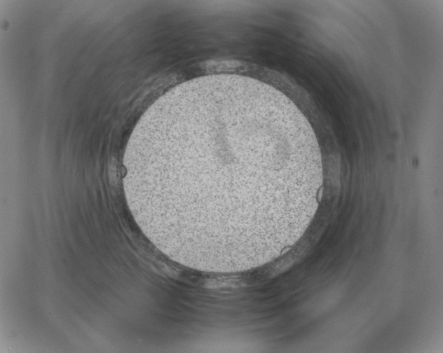 X0000064770761200603131433