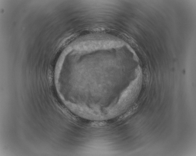 X0000064770762200603131433