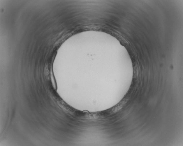 X0000064770764200603131433