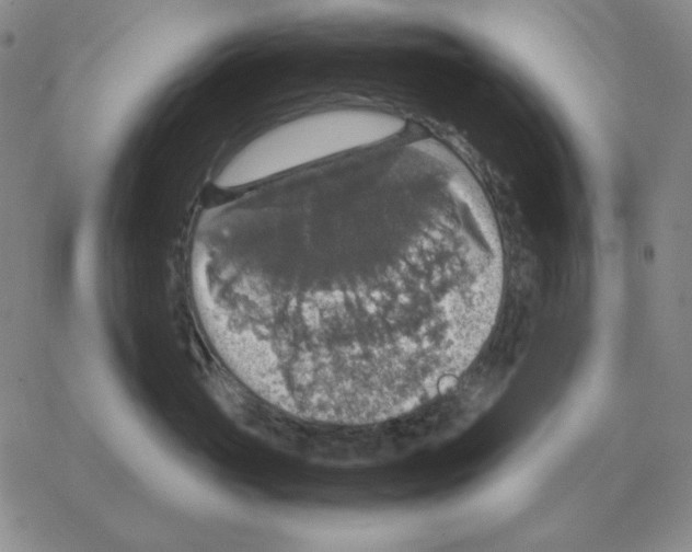 X0000064770765200603131434