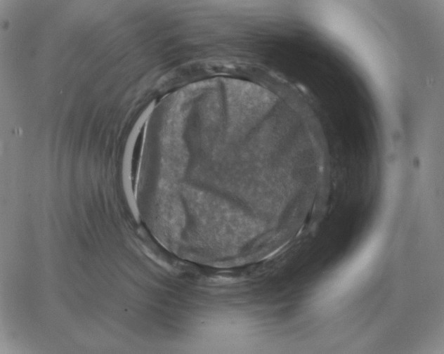 X0000064770766200603131434