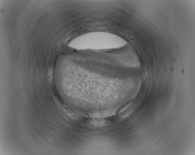 X0000064770767200603131434