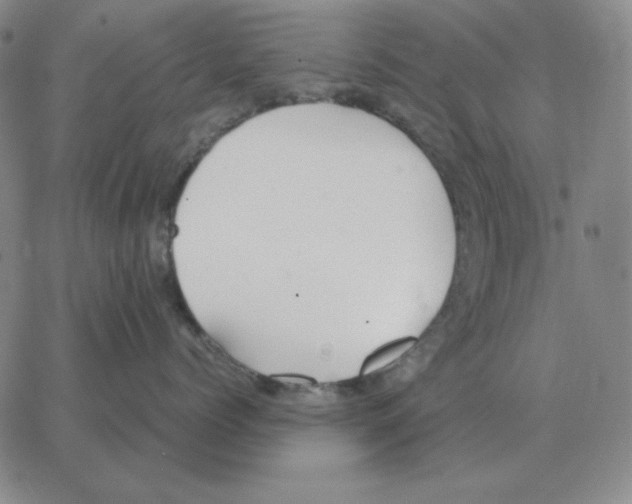 X0000064770768200603131434