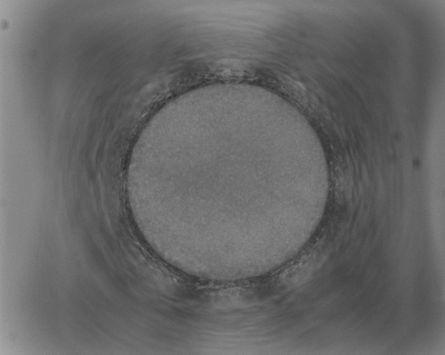 X0000064770769200603131433