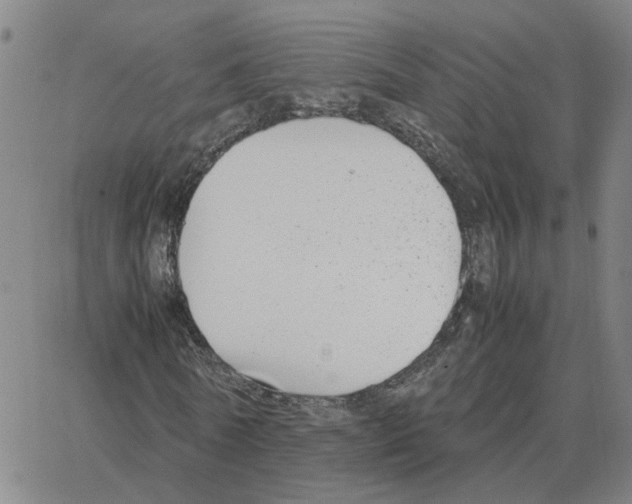 X0000064770770200603131433