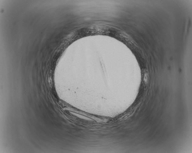 X0000064770771200603131433