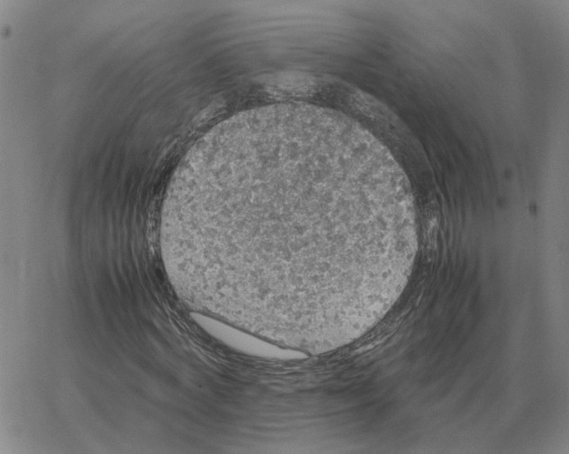 X0000064770772200603131433