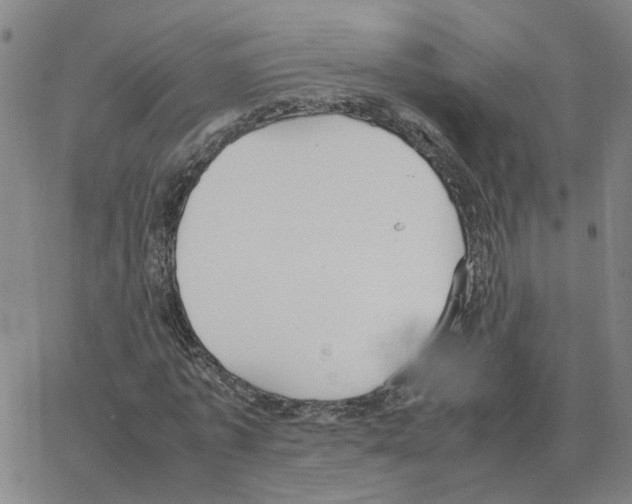 X0000064770773200603131433