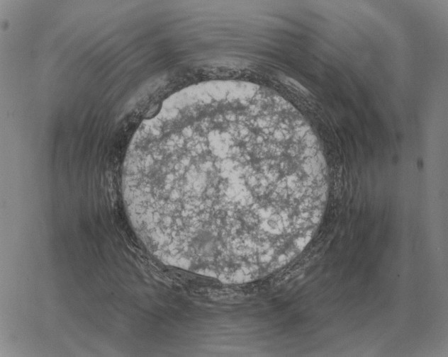 X0000064770774200603131433