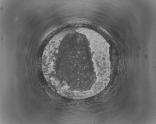 X0000064770775200603131433