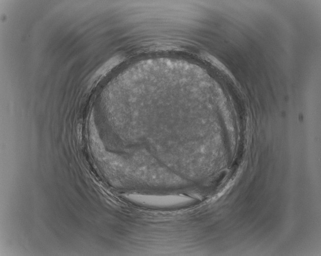 X0000064770777200603131433