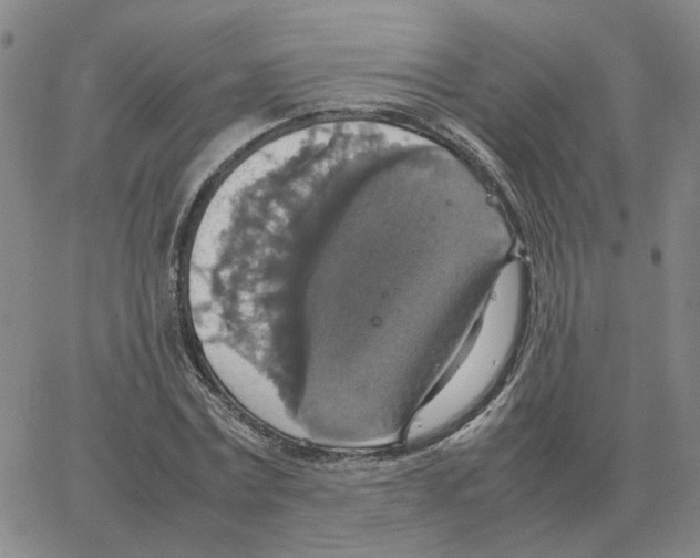 X0000064770779200603131433