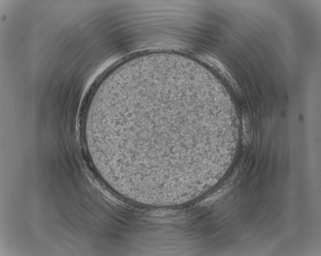 X0000064770780200603131433