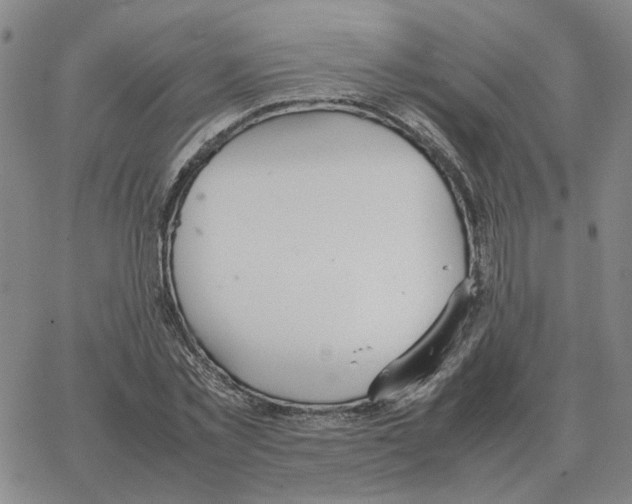 X0000064770781200603131433