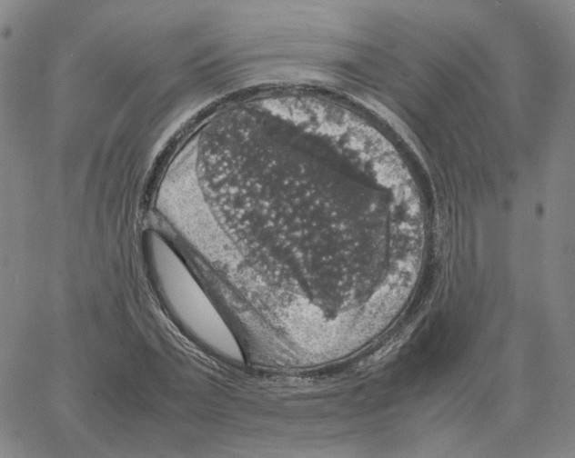 X0000064770783200603131433