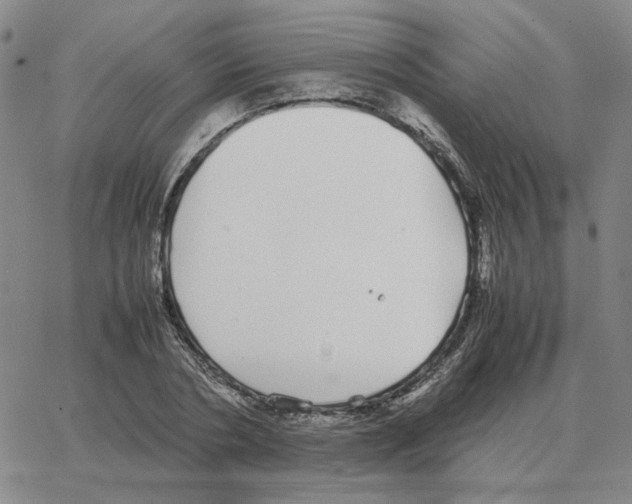 X0000064770786200603131432