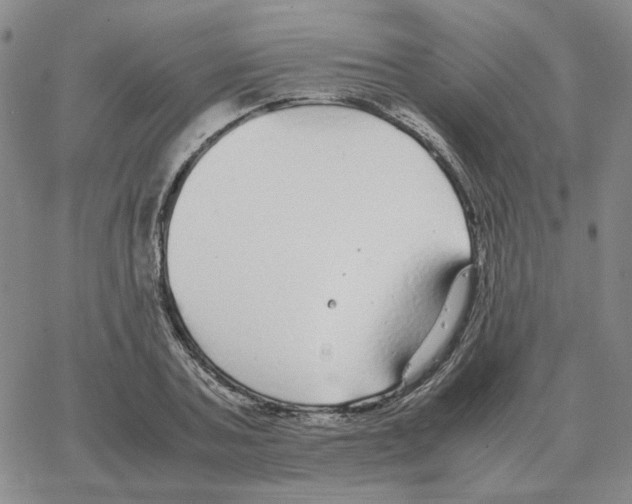 X0000064770787200603131432