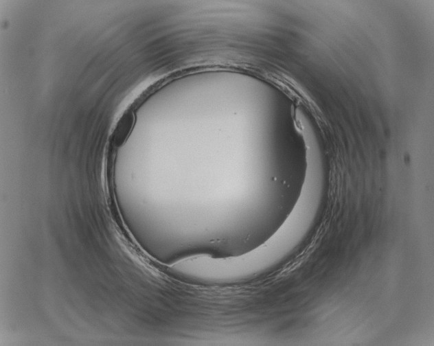 X0000064770788200603131432