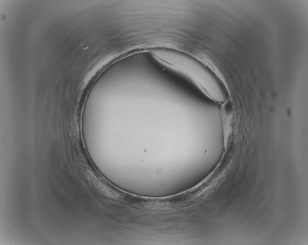 X0000064770789200603131432