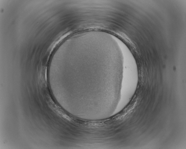 X0000064770790200603131432