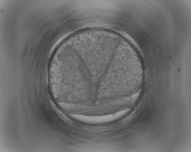 X0000064770791200603131432