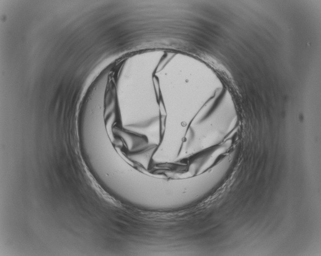 X0000064770792200603131432