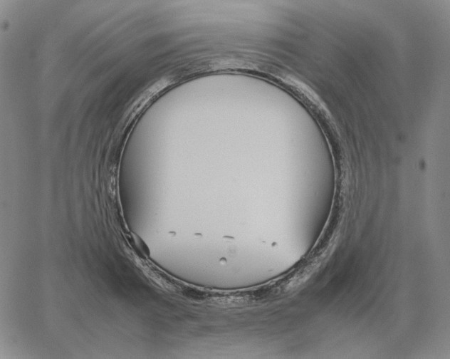 X0000064770793200603131432