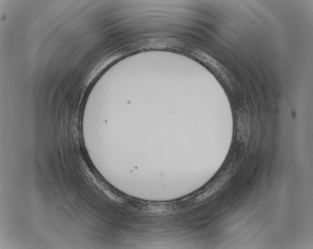 X0000064770794200603131432