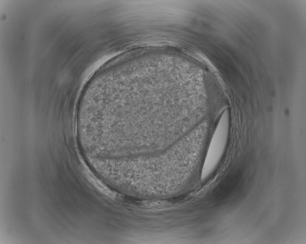 X0000064770795200603131432