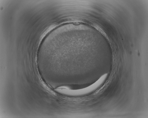 X0000064770797200603131432