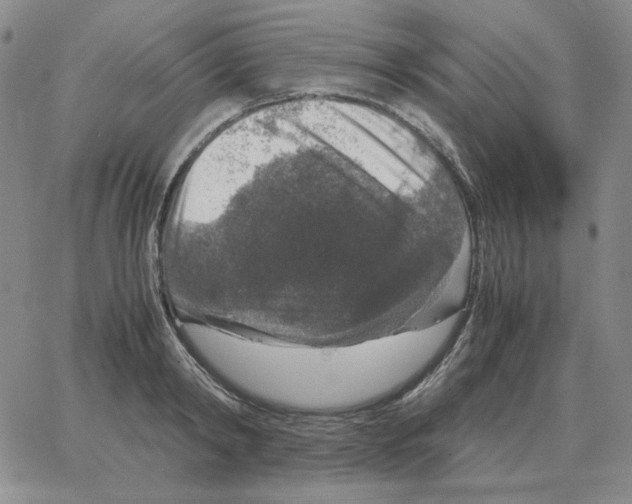 X0000064770798200603131432