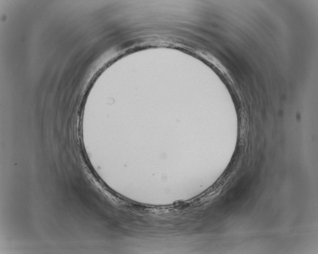 X0000064770799200603131432