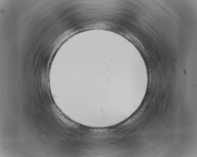 X0000064770800200603131432