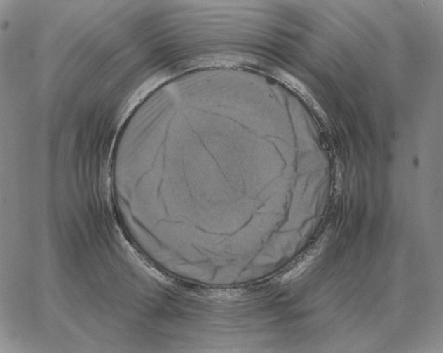 X0000064770802200603131432