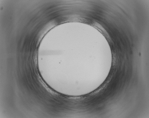 X0000064770804200603131432