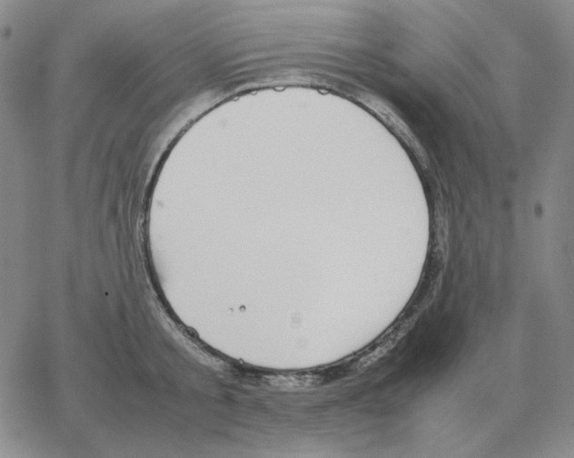 X0000064770805200603131432