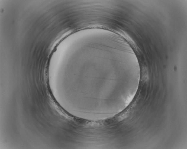 X0000064770806200603131432