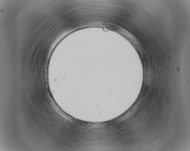 X0000064770808200603131432