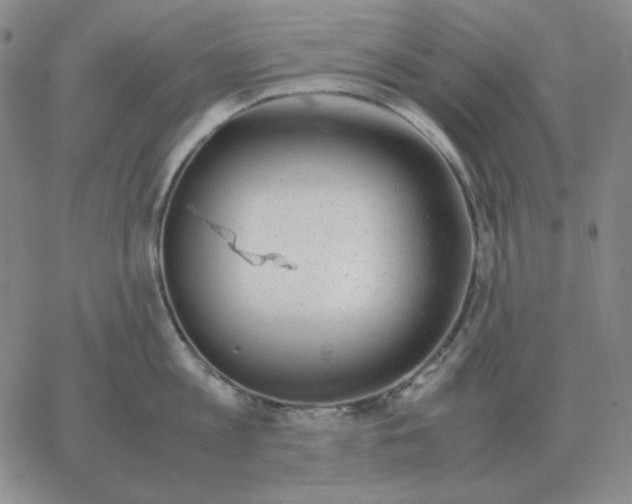 X0000064770813200603131432