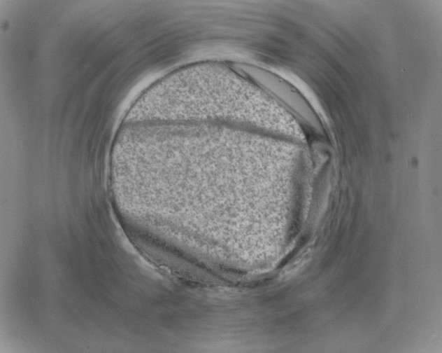 X0000064770815200603131432