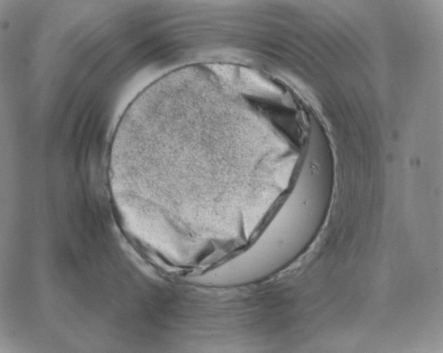 X0000064770816200603131432