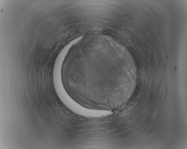 X0000064770818200603131431