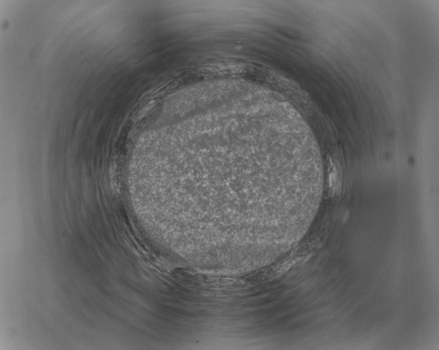 X0000064770819200603131431