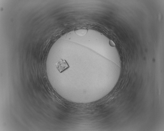 X0000064770820200603131431