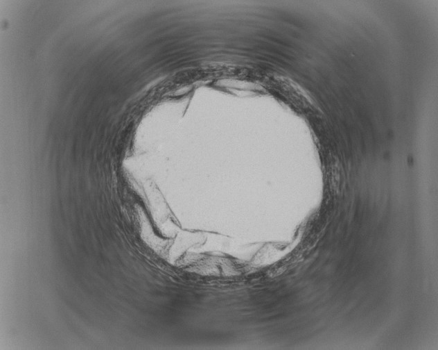 X0000064770821200603131431